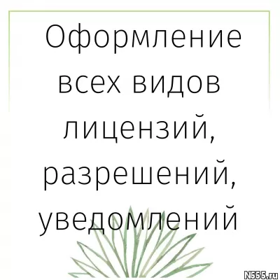 Лицензирование